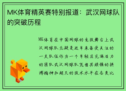 MK体育精英赛特别报道：武汉网球队的突破历程